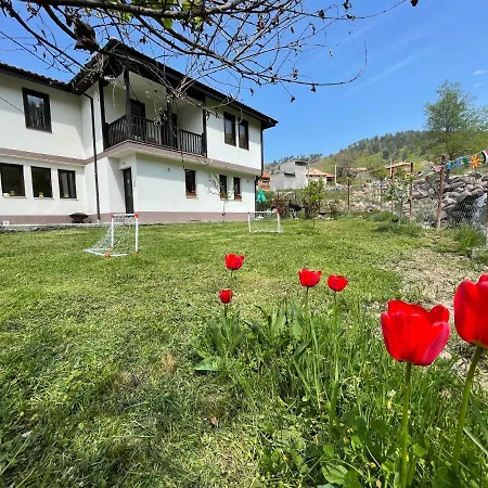 Guest house Kassandrova & 2*