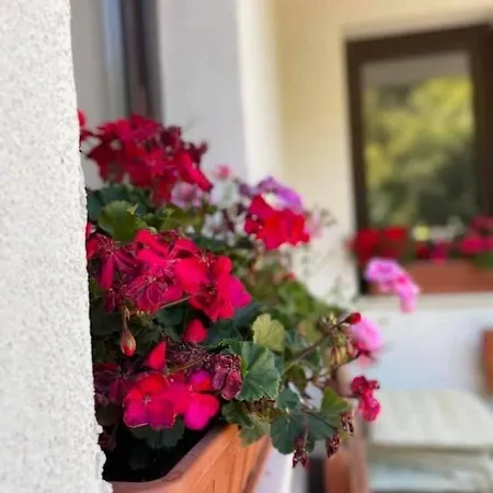 Guest house Kassandrova & 2*